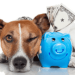 Brain training for dogs: Online Courses for Dogs Intelligence